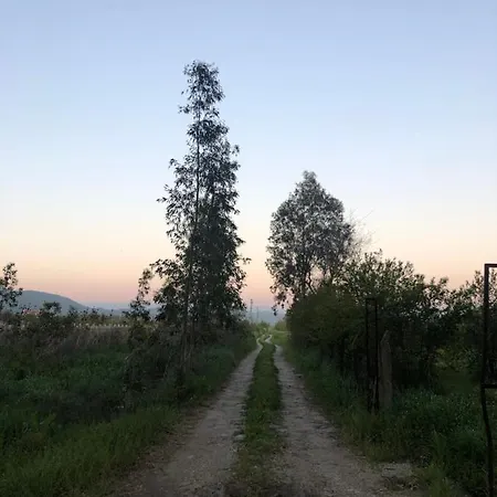 Hotel Bhavana Goekova Akyaka (Mugla)